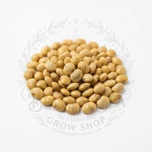 Semillas de Guayaba Fercon: sobre sobre fondo blanco con la marca de agua de Bendita Sea