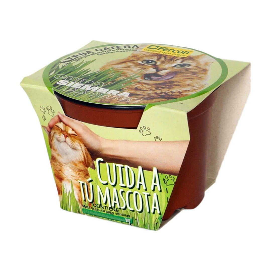 Kit de Hierba para Gatos Fercon: kit en caja de cartón con dibujo de gato, vista lateral