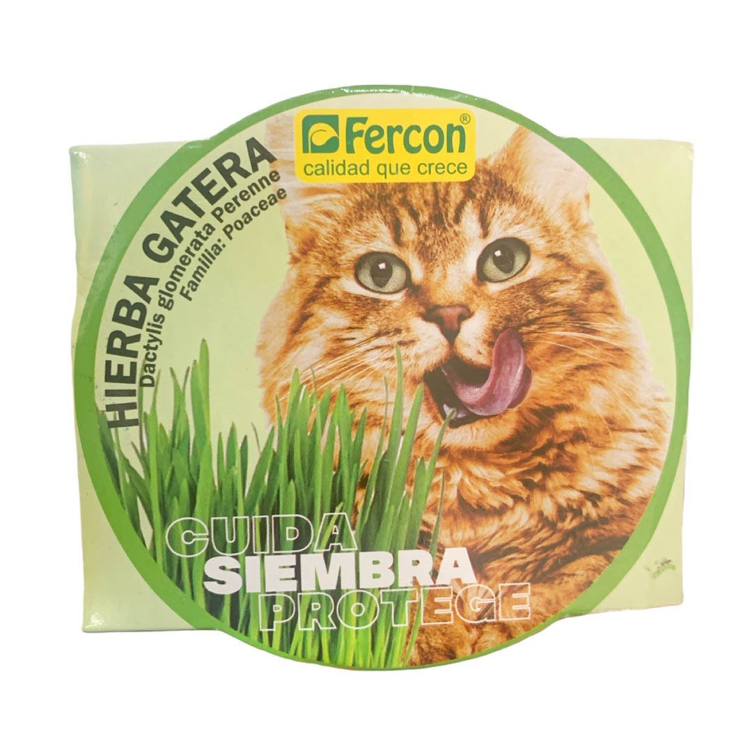 Kit de Hierba para Gatos Fercon: tapa redonda del kit con gato e hierba, vista superior