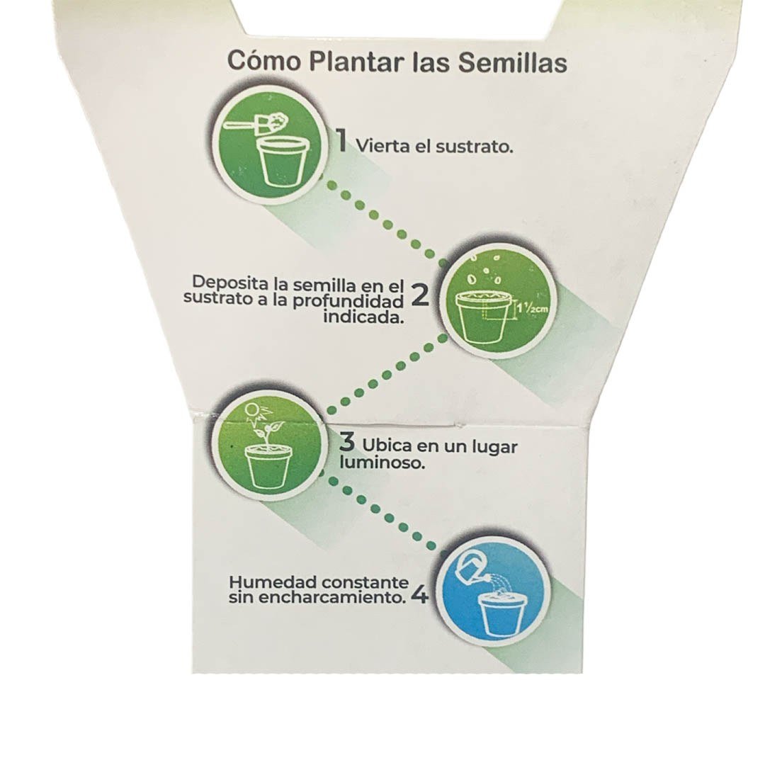 Kit de Hierba para Gatos Fercon: instrucciones de cómo plantar las semillas