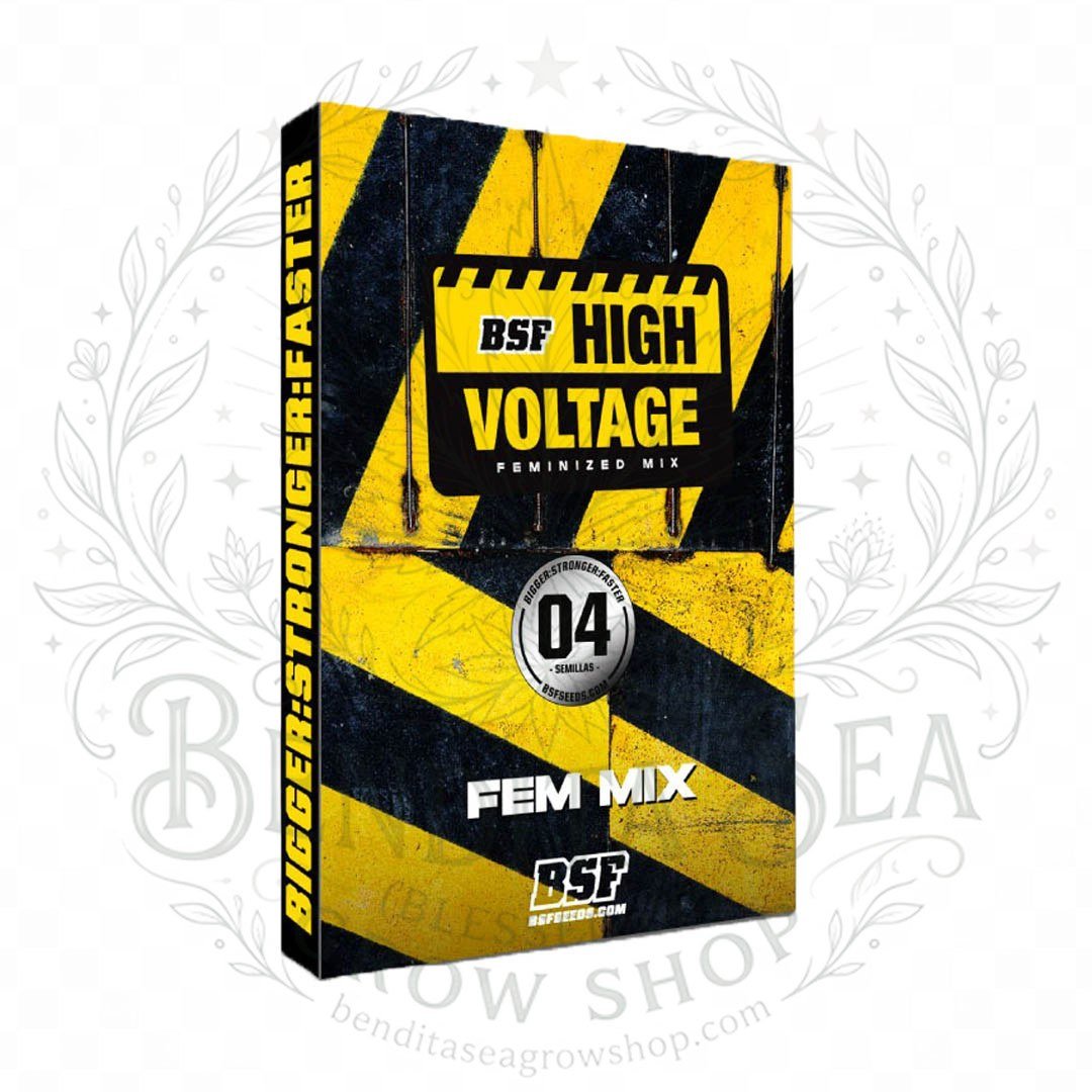 semillas High Voltage Mix: cogollo de High Voltage Mix con la marca de agua de Bendita Sea