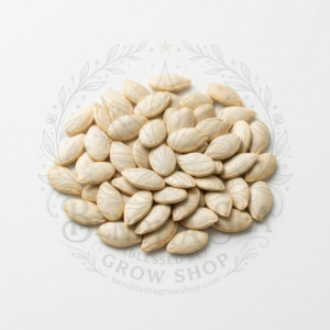 Semillas de Semillas hortalizas Calabacin Grey Zucchini Bendita Sea