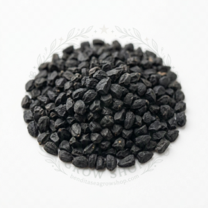 Semillas de Cebolla Red Creole Hortalizas Fercon