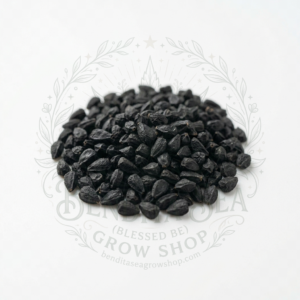 Semillas de Cebolla Tokio Long Hortalizas Fercon