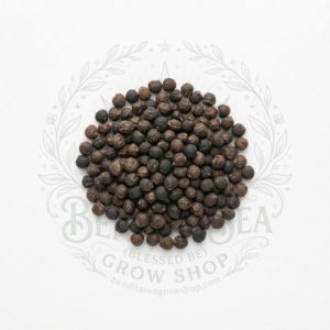 Semillas de Semillas hortalizas Coliflor Early Snowball Bendita Sea