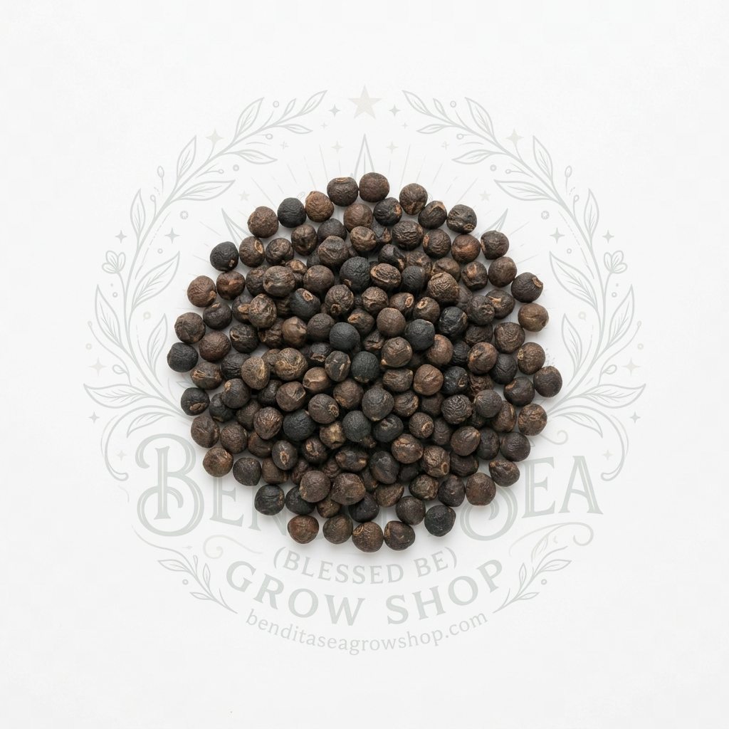 Semillas de Semillas hortalizas Coliflor Early Snowball Bendita Sea