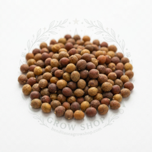 Semillas de Rabano Crimson Giant Hortalizas Fercon