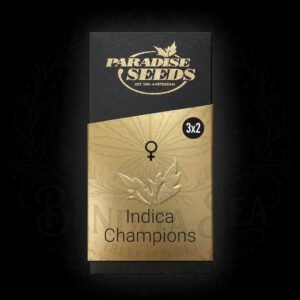 semillas Indica Champions: cogollo de Indica Champions con la marca de agua de Bendita Sea