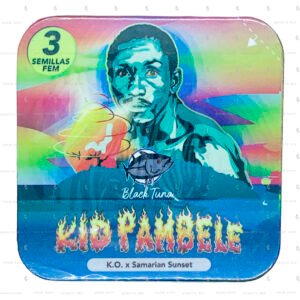 semillas-kid-pambele