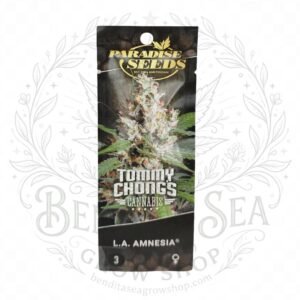 semillas L.A Amnesia: cogollo de L.A Amnesia con la marca de agua de Bendita Sea