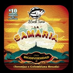 semillas La Samaria: cogollo de La Samaria con la marca de agua de Bendita Sea
