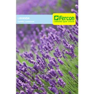 Semillas de LAVANDA Fercon para huerto en casa