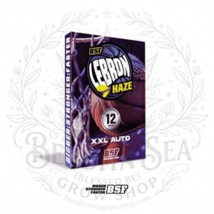semillas Lebron Haze: cogollo de Lebron Haze con la marca de agua de Bendita Sea