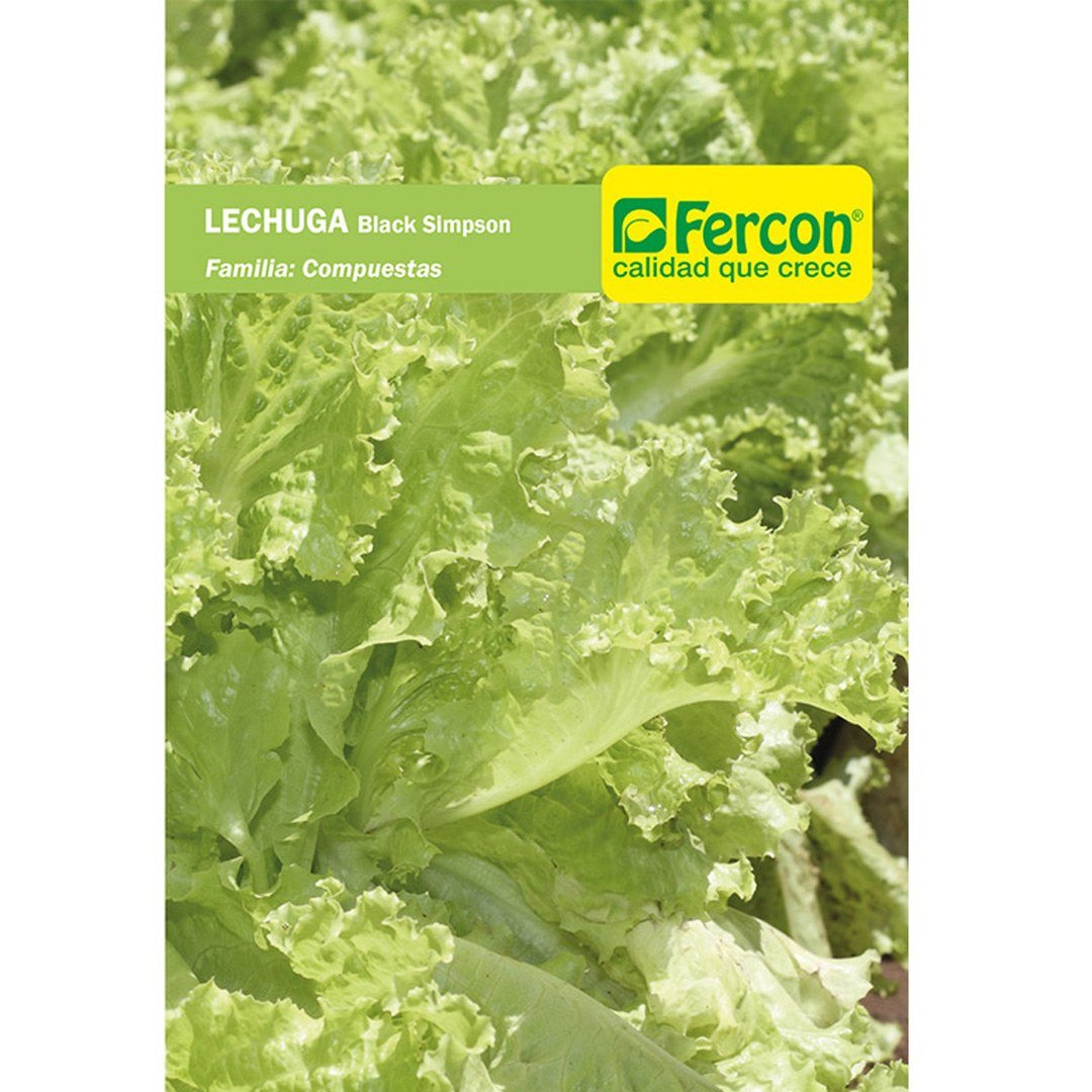 Semillas de Lechuga Black Simpson Fercon: sobre de semillas sobre fondo blanco, vista de frente