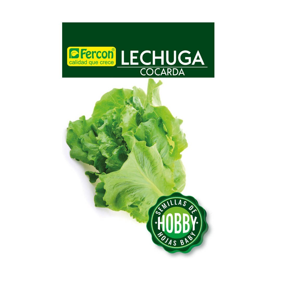 Semillas de Lechuga Cocarda Fercon: sobre de semillas Hobby sobre fondo blanco, vista de frente