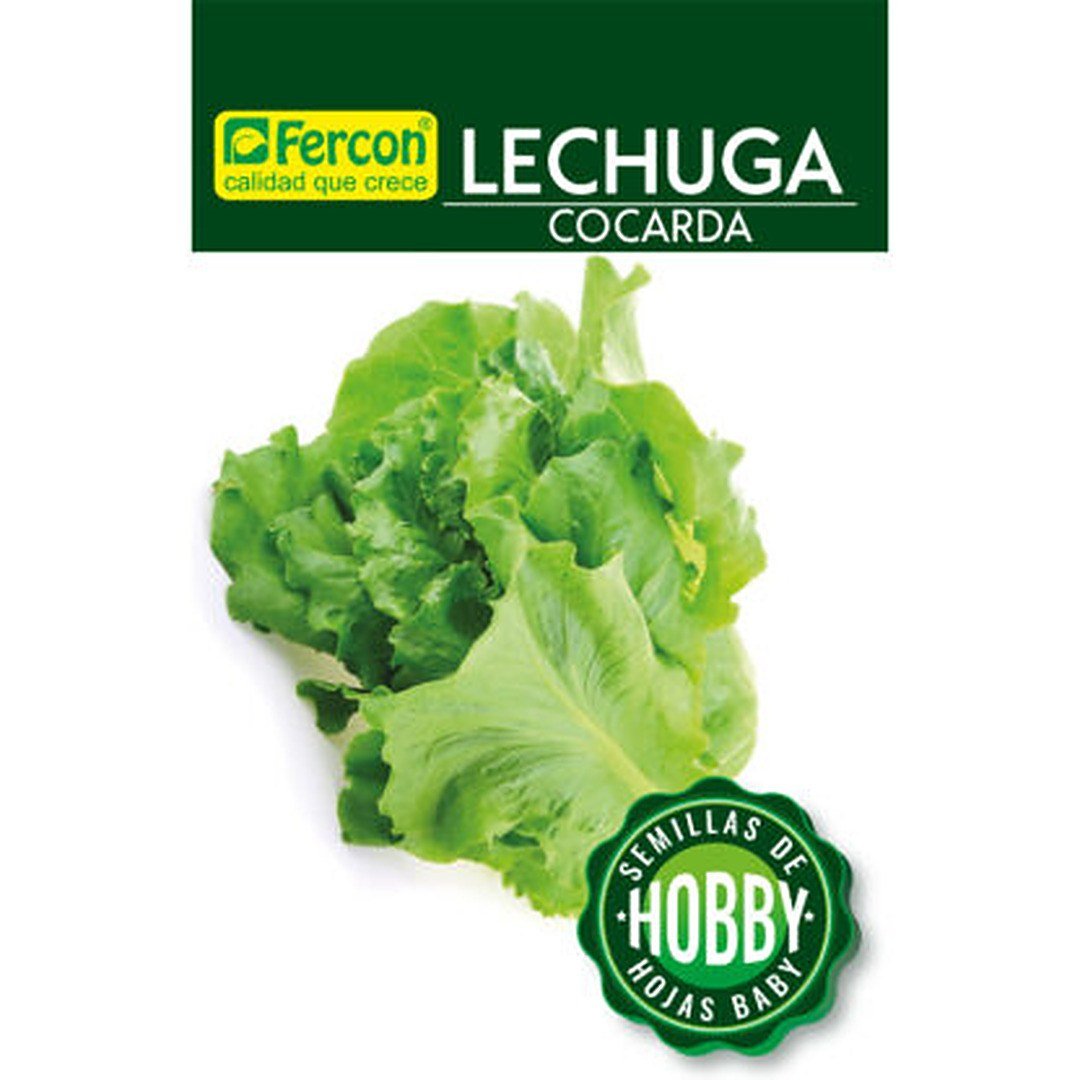 Semillas de Lechuga Cocarda Fercon: sobre de semillas Hobby de frente, versión de menor resolución