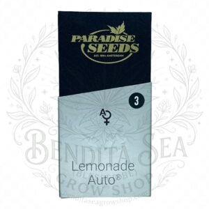 semillas Lemonade Auto: cogollo de Lemonade Auto con la marca de agua de Bendita Sea