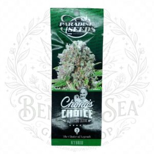semillas Mendocino Skunk: cogollo de Mendocino Skunk con la marca de agua de Bendita Sea