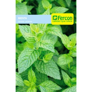 Semillas de Menta Piperita Aromáticas Fercon