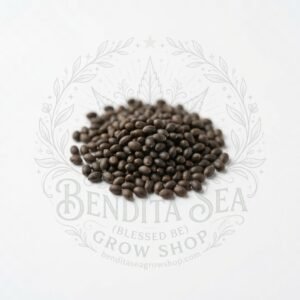Semillas de Menta Fercon: sobre sobre fondo blanco con la marca de agua de Bendita Sea