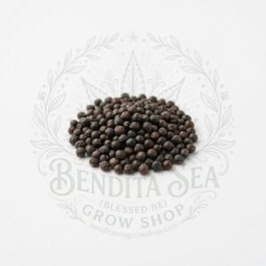 Semillas de Mizuna Roja Fercon: sobre sobre fondo blanco con la marca de agua de Bendita Sea