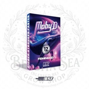 semillas Moby-D: cogollo de Moby-D con la marca de agua de Bendita Sea