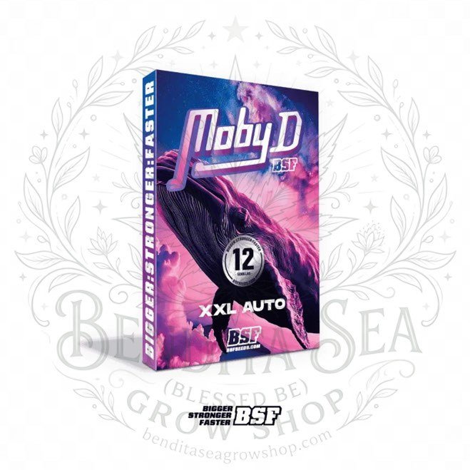semillas Moby-D XXL AUTO: cogollo de Moby-D XXL AUTO con la marca de agua de Bendita Sea