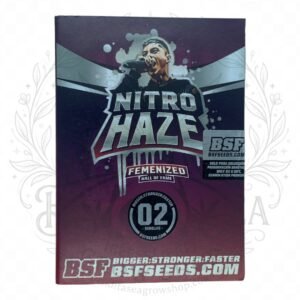 semillas Nitro Haze: cogollo de Nitro Haze con la marca de agua de Bendita Sea