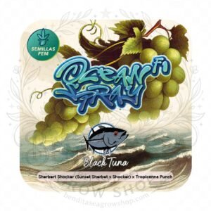 semillas Ocean Spray: cogollo de Ocean Spray con la marca de agua de Bendita Sea