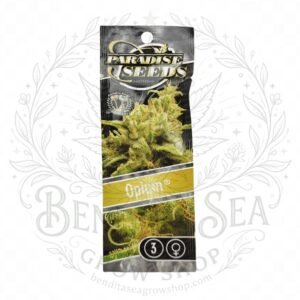 semillas Opium: cogollo de Opium con la marca de agua de Bendita Sea