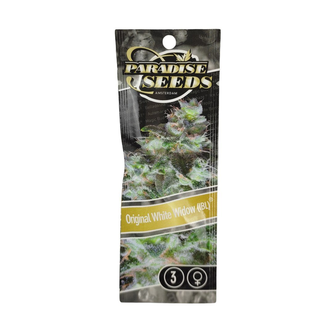 semillas Original White Widow: foto de Paradise Seeds del cogollo de Original White Widow