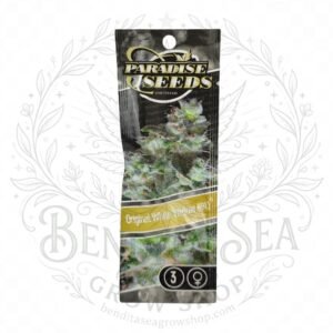 semillas Original White Widow: cogollo de Original White Widow con la marca de agua de Bendita Sea
