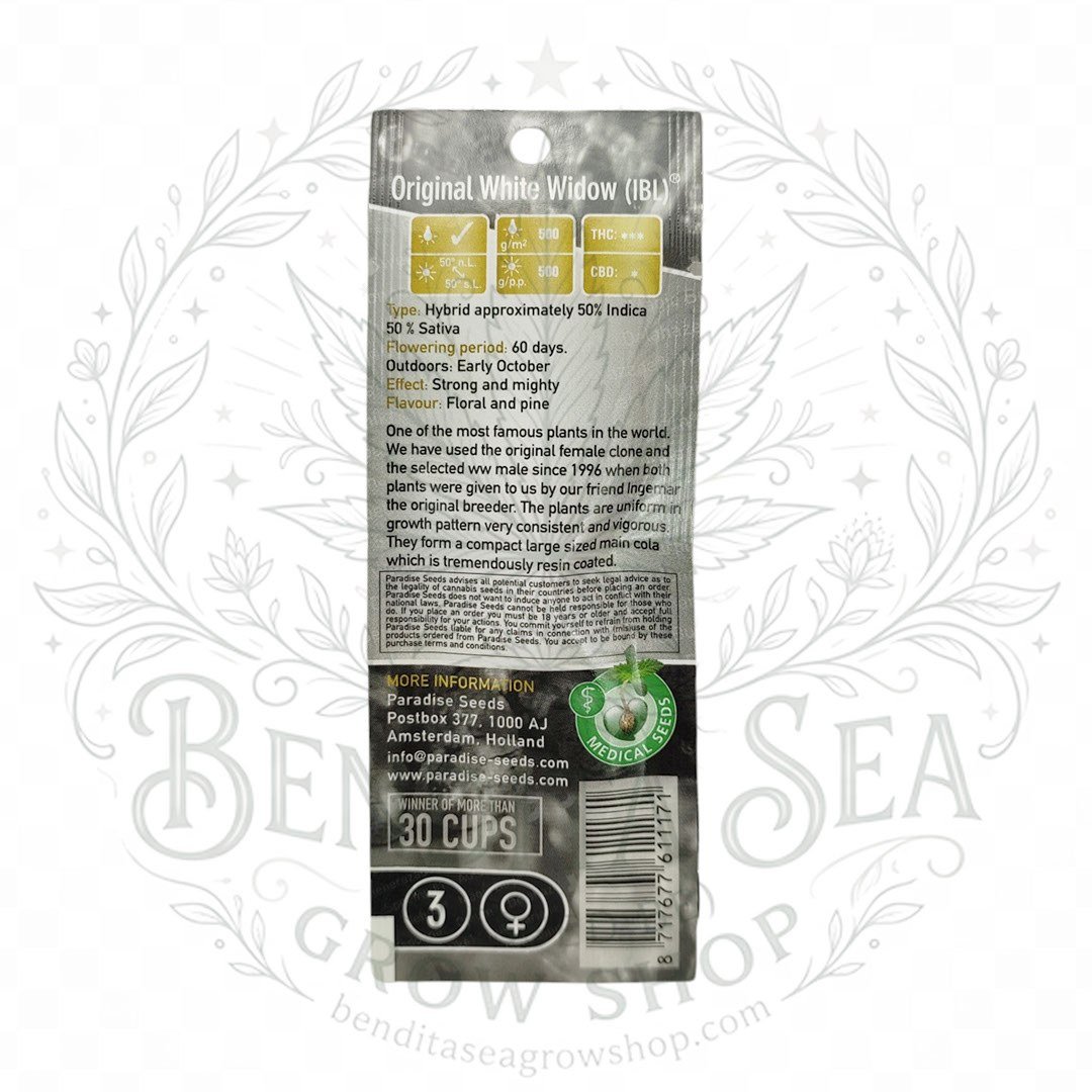 semillas Original White Widow: cogollo de Original White Widow con la marca de agua de Bendita Sea, vista 2