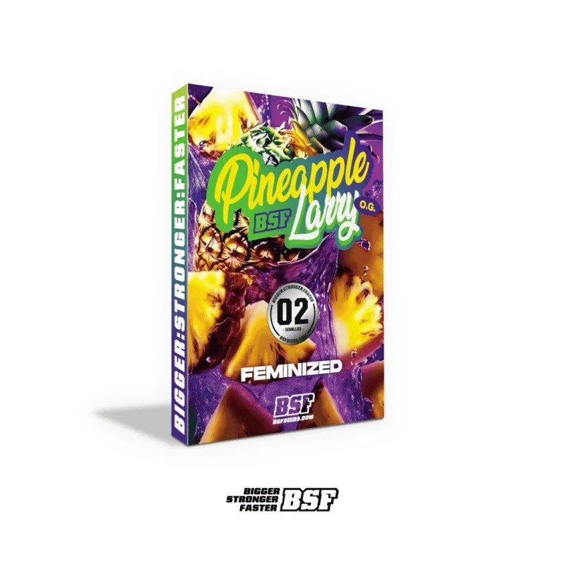 semillas Pineapple Larry Og: foto de BSF Seeds del cogollo de Pineapple Larry Og