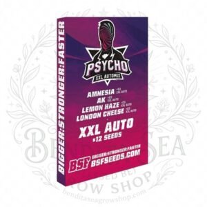 semillas Psycho XXL Automix: cogollo de Psycho XXL Automix con la marca de agua de Bendita Sea