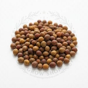 Semillas de Rábano Crimson Giant Fercon: sobre sobre fondo blanco con la marca de agua de Bendita Sea