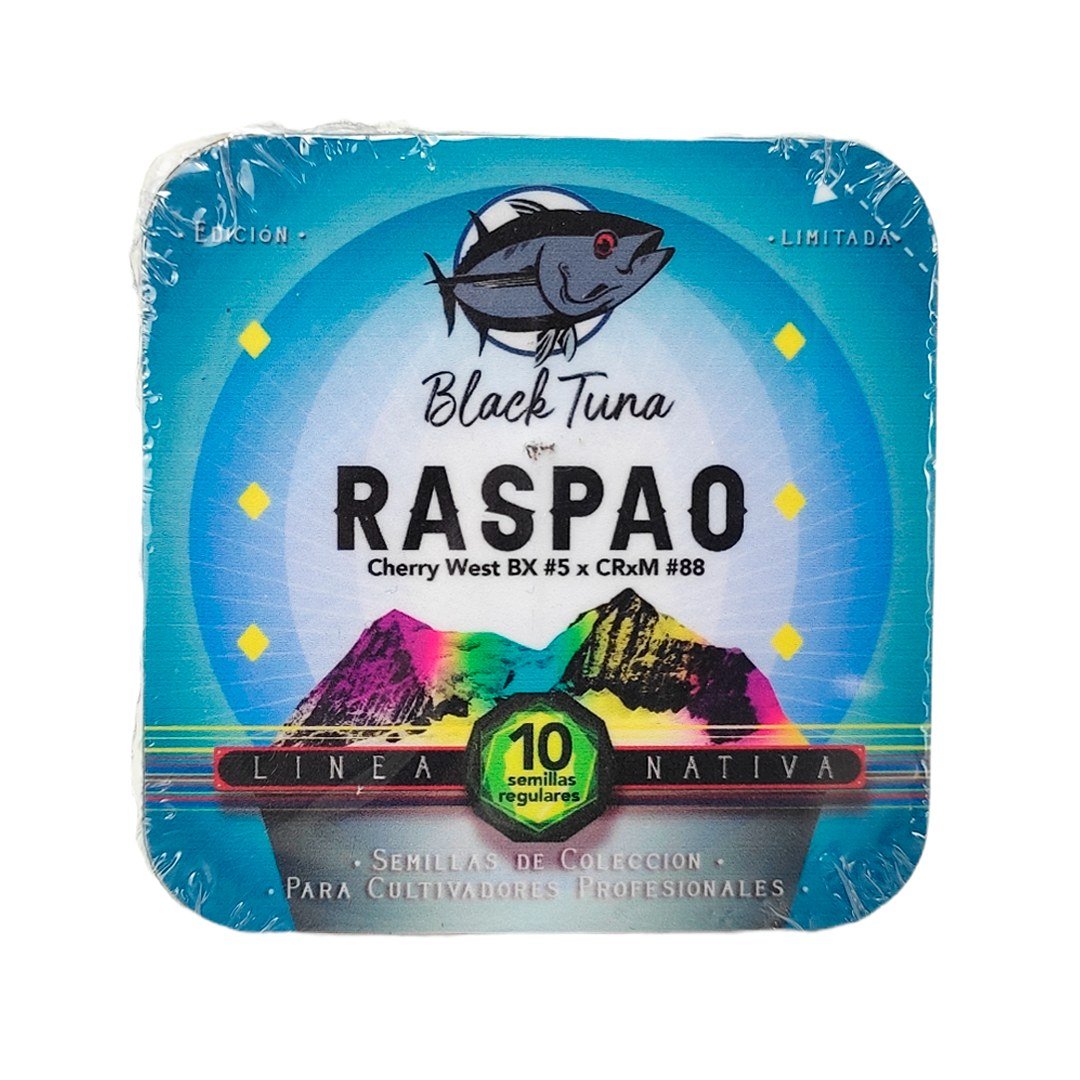 semillas Raspao F2: foto de Black Tuna del cogollo de Raspao F2