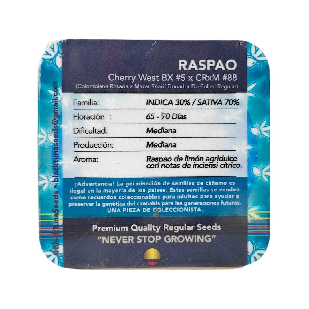 semillas Raspao F2: foto de Black Tuna del cogollo de Raspao F2, vista 2