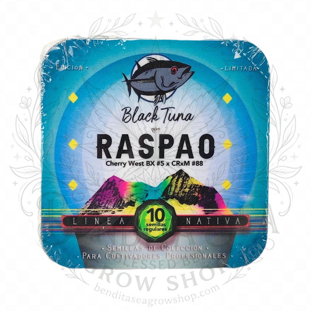 semillas Raspao F2: cogollo de Raspao F2 con la marca de agua de Bendita Sea