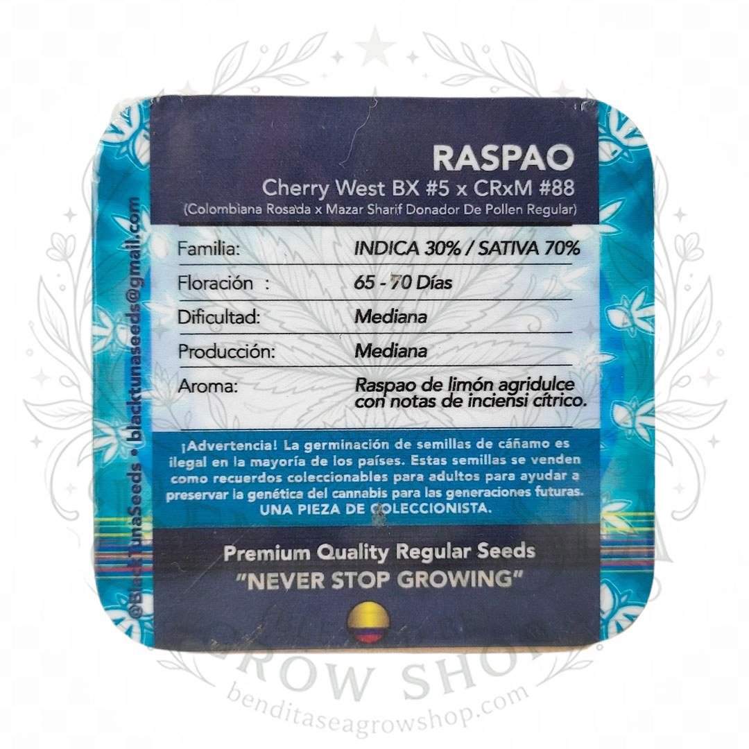 semillas Raspao F2: cogollo de Raspao F2 con la marca de agua de Bendita Sea, vista 2