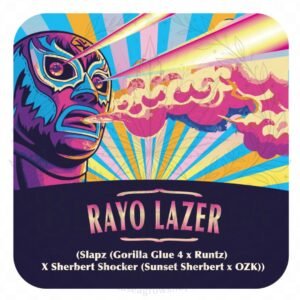 semillas Rayo Lazer: cogollo de Rayo Lazer con la marca de agua de Bendita Sea
