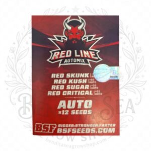semillas Red Line Automix: cogollo de Red Line Automix con la marca de agua de Bendita Sea