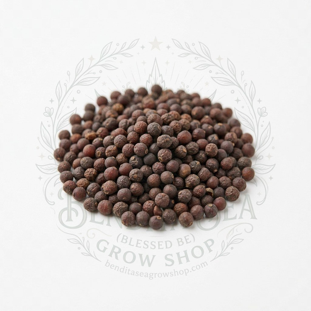 Semillas de Repollo Bola Verde Fercon: sobre sobre fondo blanco con la marca de agua de Bendita Sea