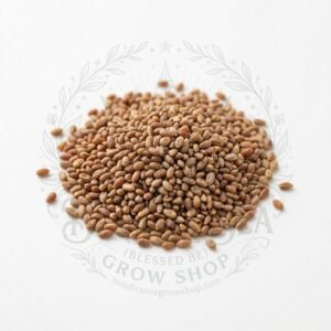 Semillas de Rúgula Fercon: sobre sobre fondo blanco con la marca de agua de Bendita Sea