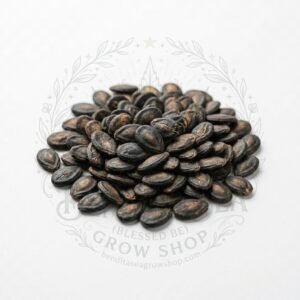 Semillas de Sandía Charleston Gray Fercon: sobre sobre fondo blanco con la marca de agua de Bendita Sea