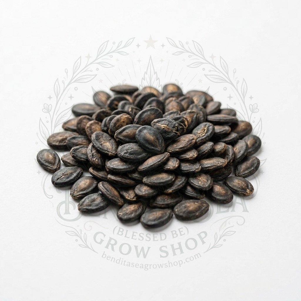 Semillas de Sandía Charleston Gray Fercon: sobre sobre fondo blanco con la marca de agua de Bendita Sea