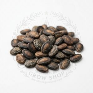 Semillas de Sandía Crimson Sweet Fercon: sobre sobre fondo blanco con la marca de agua de Bendita Sea