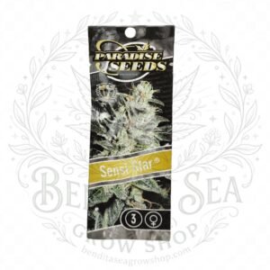 semillas Sensi Star: cogollo de Sensi Star con la marca de agua de Bendita Sea