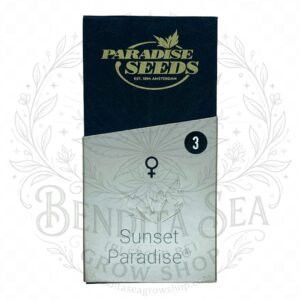 semillas Sunset Paradise: cogollo de Sunset Paradise con la marca de agua de Bendita Sea