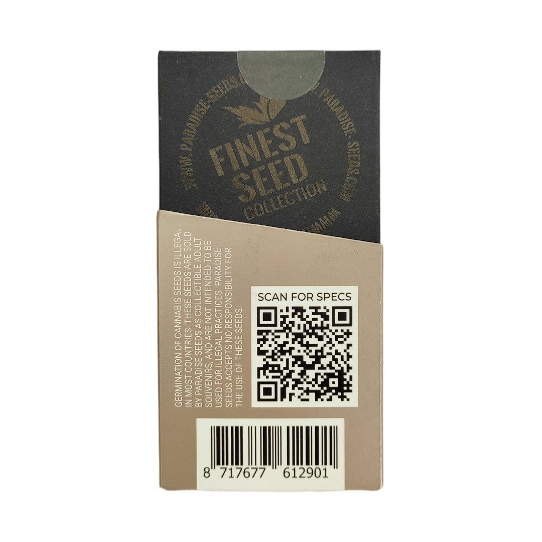 semillas Tangerine Sorbet: foto de Paradise Seeds del cogollo de Tangerine Sorbet, vista 2